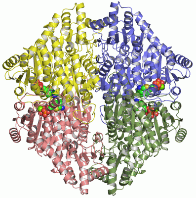 Image Asym./Biol. Unit - manually