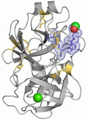 Image Asym./Biol. Unit - manually