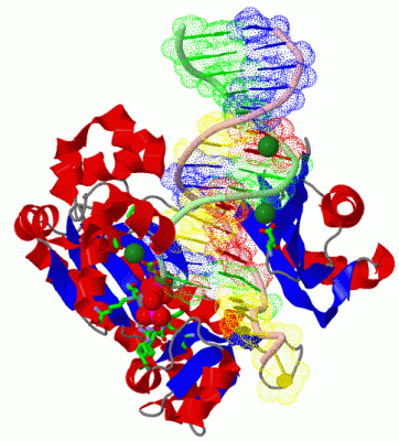 Image Asym./Biol. Unit - manually