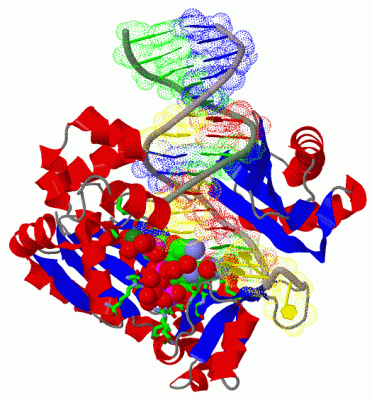 Image Biol.Unit 1 - manually