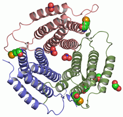 Image Asym./Biol. Unit - manually