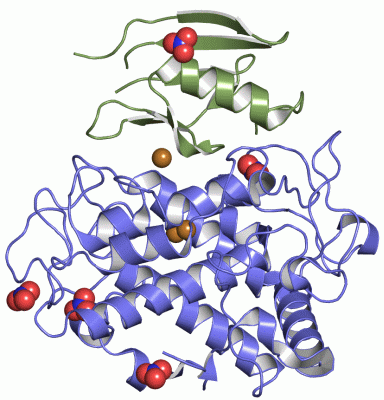 Image Asym./Biol. Unit - manually