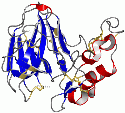 Image Asym./Biol. Unit - manually