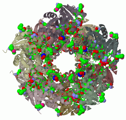 Image Biol.Unit 1 - manually