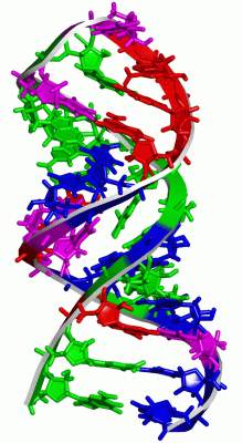 Image NMR Structure - manually