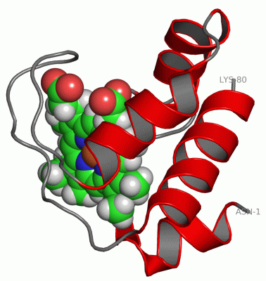 Image NMR Structure - manually