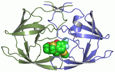 Image Asym./Biol. Unit - manually