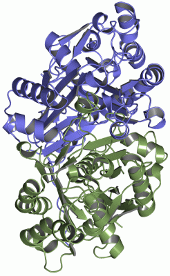 Image Asym./Biol. Unit - manually