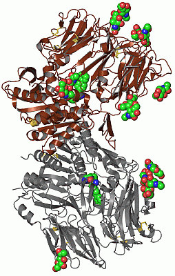 Image Asym./Biol. Unit - manually