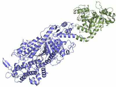 Image Asym./Biol. Unit - manually