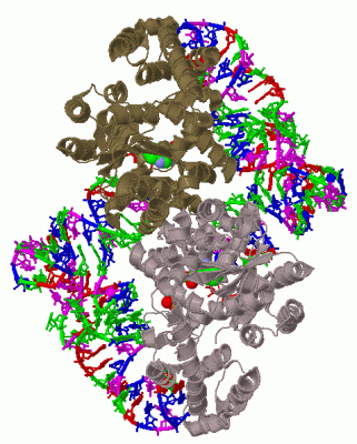 Image Biol.Unit 1 - manually