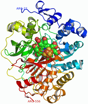 Image Asym./Biol. Unit - manually