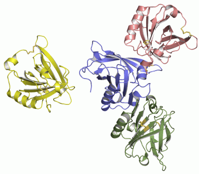 Image Asym.Unit - manually