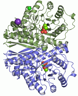 Image Asym./Biol. Unit - manually