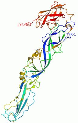 Image Asym./Biol. Unit - manually