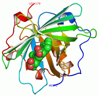 Image Asym./Biol. Unit - manually