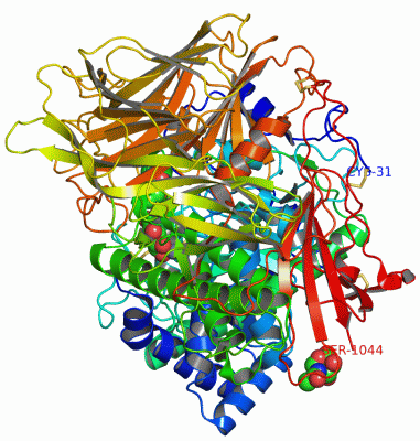 Image Asym./Biol. Unit - manually