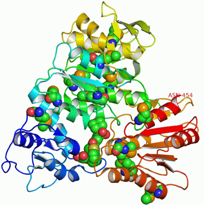 Image Asym./Biol. Unit - manually