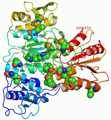 Image Asym./Biol. Unit - manually