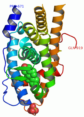 Image Asym./Biol. Unit - manually