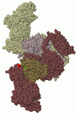 Image Biol.Unit 1 - manually