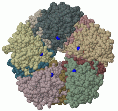 Image Biol.Unit 1 - manually