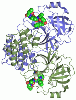 Image Asym./Biol. Unit - manually