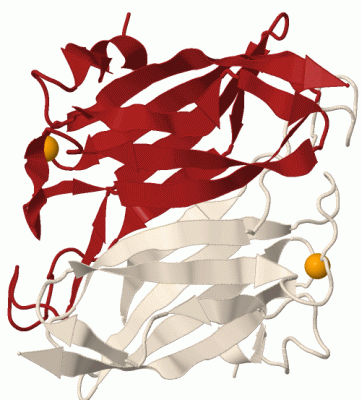 Image Biol.Unit 1 - manually