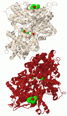 Image Biol.Unit 1 - manually