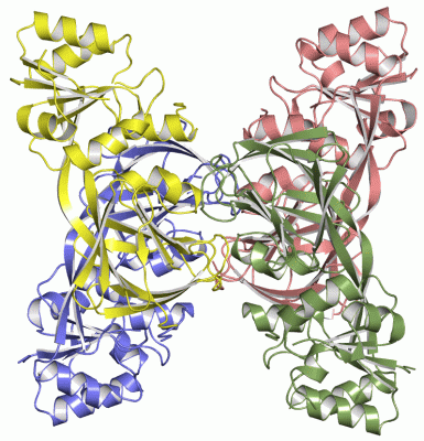 Image Asym.Unit - manually