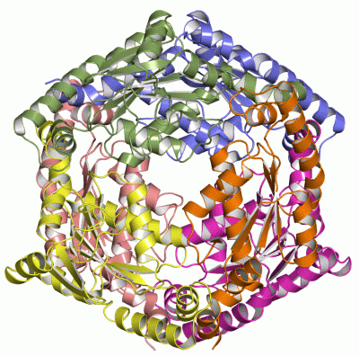 Image Asym./Biol. Unit - manually