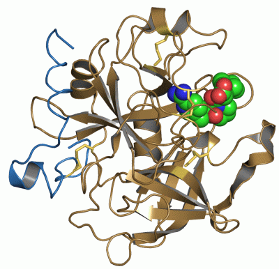 Image Asym./Biol. Unit - manually