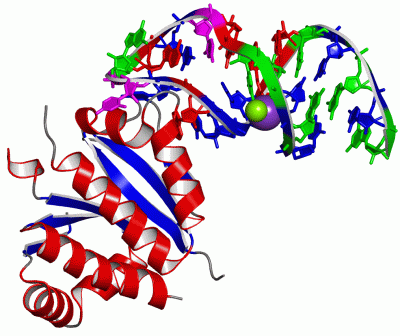 Image Asym./Biol. Unit - manually