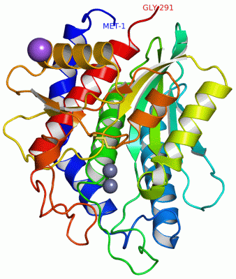 Image Asym./Biol. Unit - manually