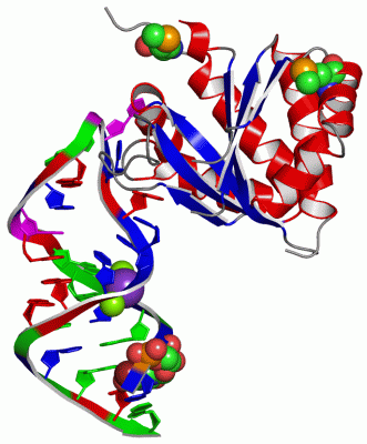 Image Asym./Biol. Unit - manually