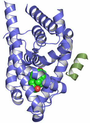 Image Asym./Biol. Unit - manually