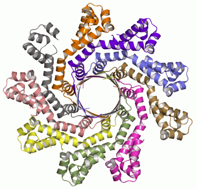 Image Asym.Unit - manually