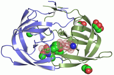 Image Asym./Biol. Unit - manually