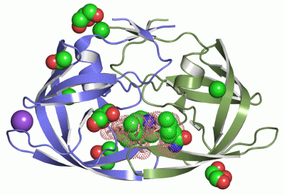 Image Asym./Biol. Unit - manually