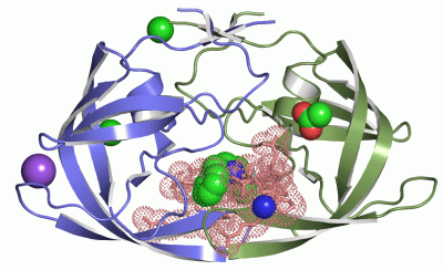 Image Asym./Biol. Unit - manually