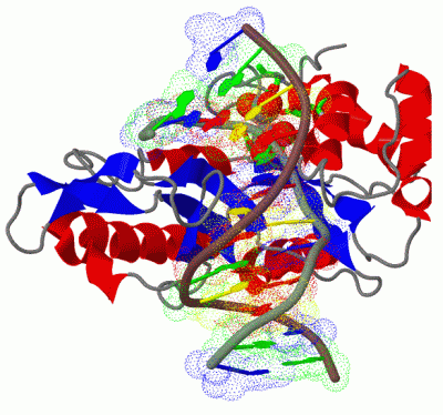 Image Asym./Biol. Unit - manually