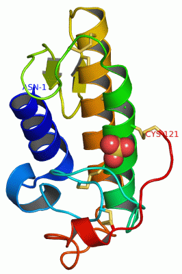 Image Asym./Biol. Unit - manually