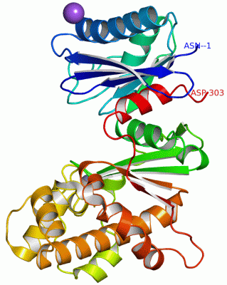 Image Asym.Unit - manually