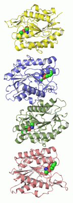 Image Asym.Unit - manually