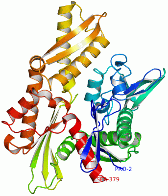 Image Theor.Model - manually