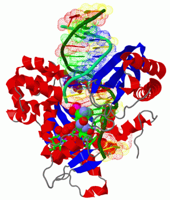 Image Asym./Biol. Unit - manually