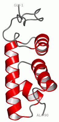 Image NMR Structure - manually