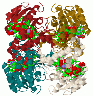 Image Biol.Unit 1 - manually