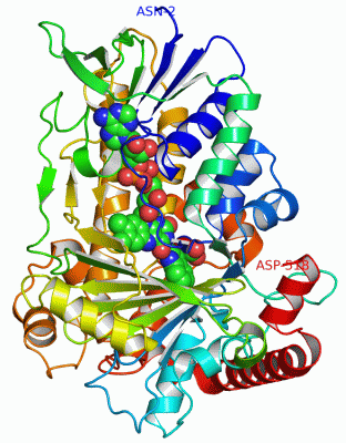 Image Asym.Unit - manually