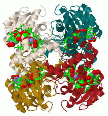 Image Biol.Unit 1 - manually